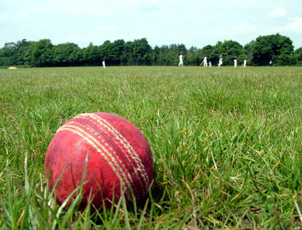 Equip your club with pro-grade cricket bat stickers, grips & scuff sheets at AllThingzCricket